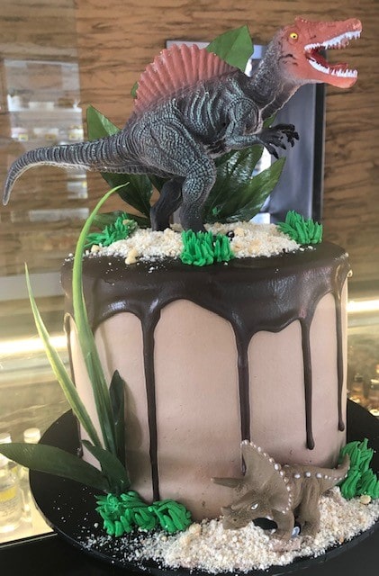Dinosaur Cake