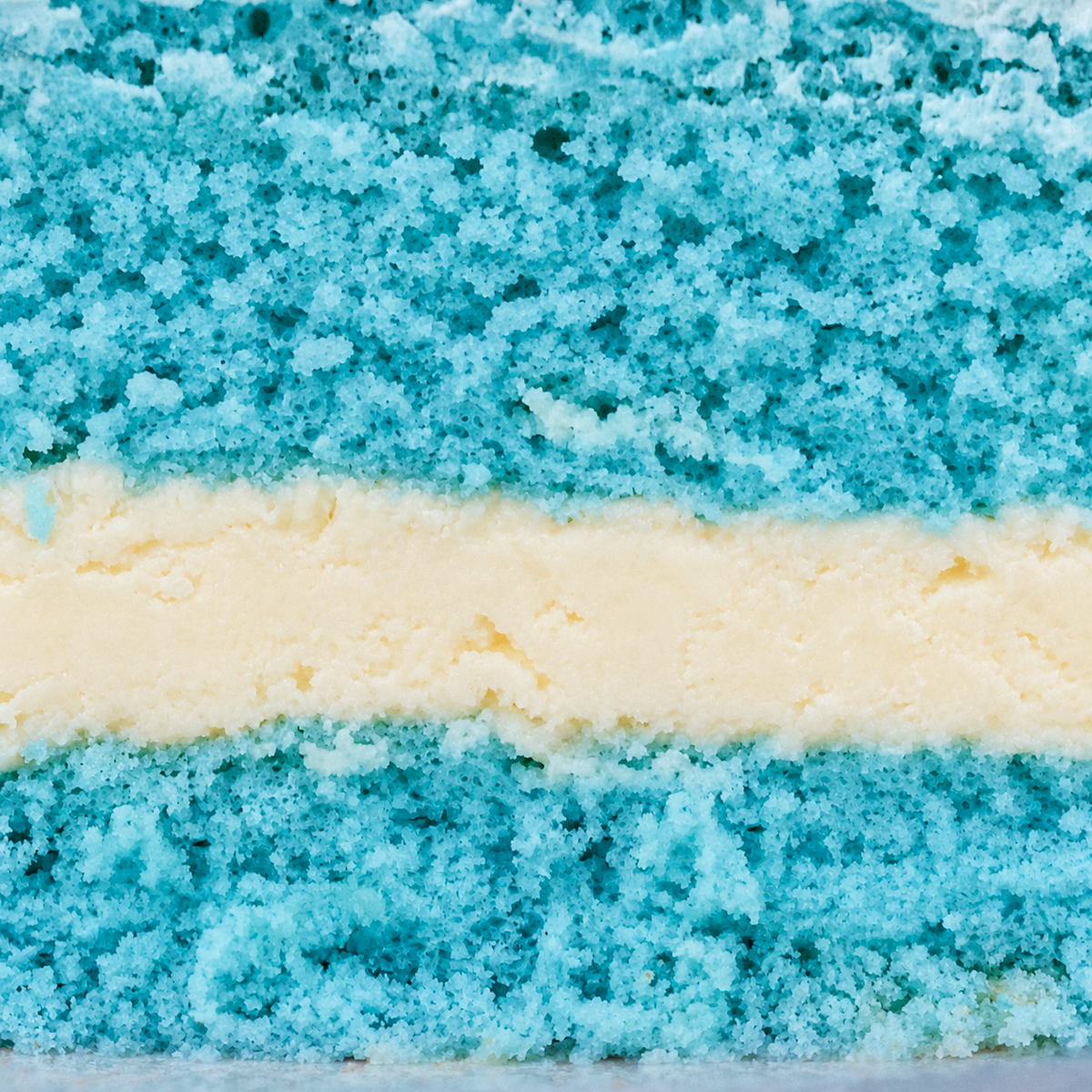 Blue Sponge